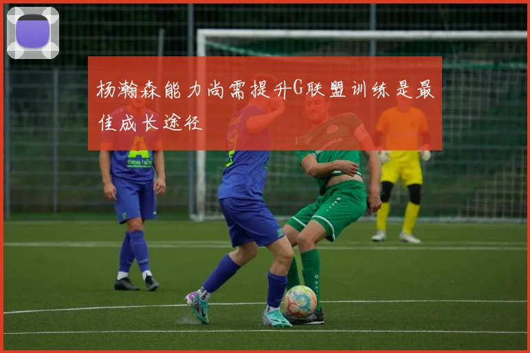 杨瀚森能力尚需提升G联盟训练是最佳成长途径