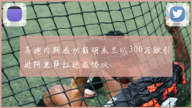 乌迪内斯成功截胡米兰以300万欧引进阿里萨拉达成协议