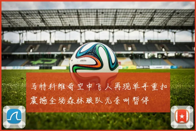 马特科维奇空中飞人再现单手重扣震撼全场森林狼队无奈叫暂停
