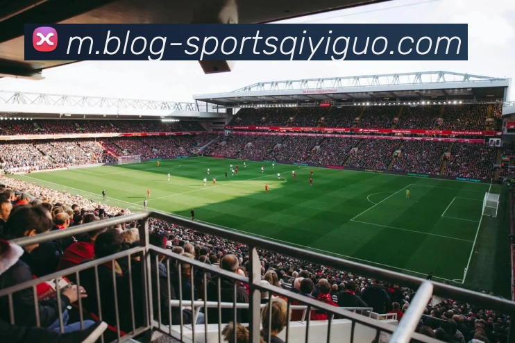 App Interface Preview